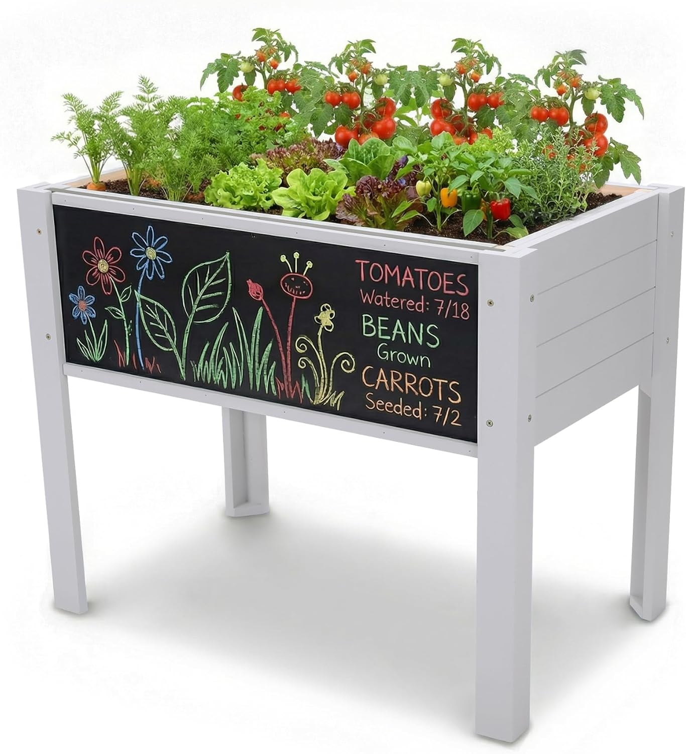 Kids Raised Garden Bed with DI - Kids Outdoor Chalkboard ulasan dan harga