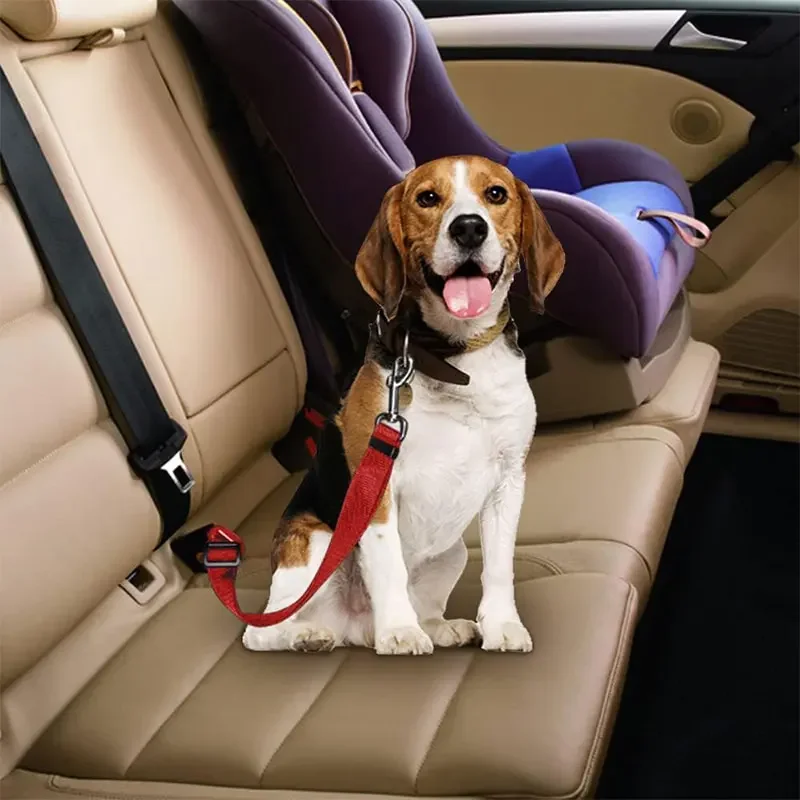 Pet Dog Car Seat Belt, Double- - Swing Seat Belt ulasan dan harga